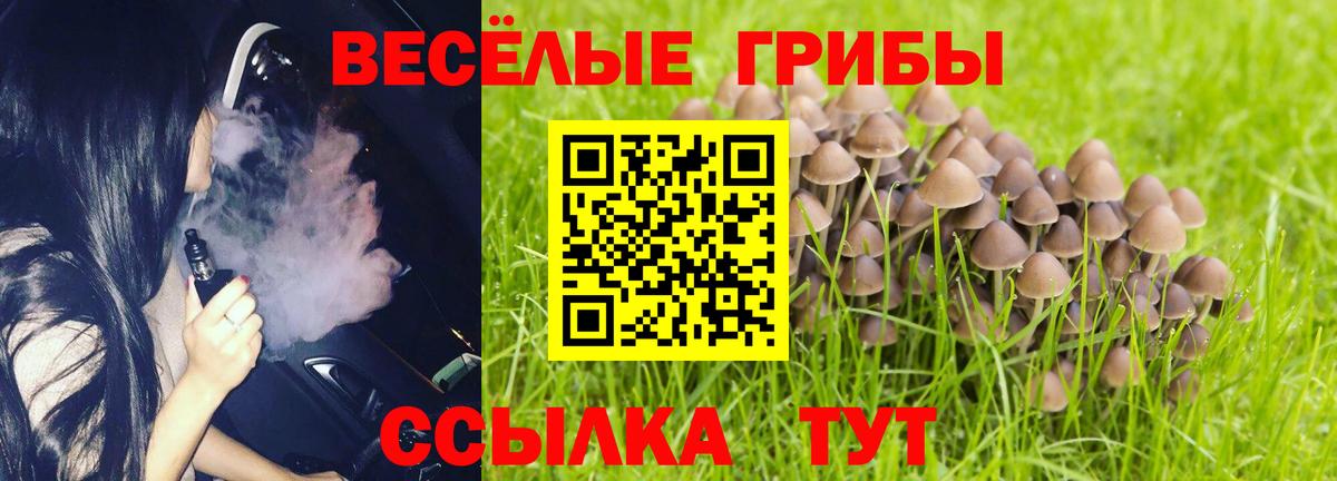 Амурск  Галлюциногенные грибы ЛСД  Вход с VPN 