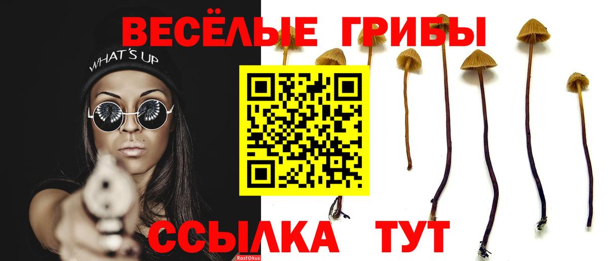Псилоцибиновые грибы Magic Shrooms Амурск